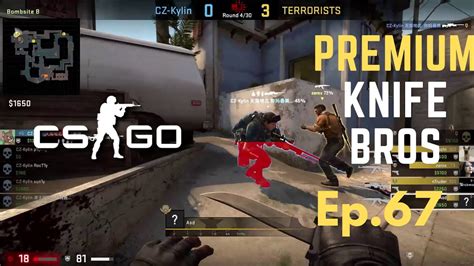 csgo summary